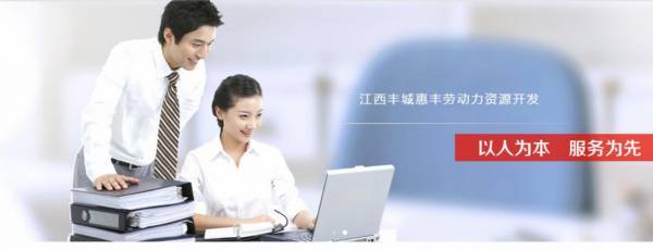 江西省豐城市*豐勞動力資源開發(fā)網站建設有創(chuàng)意的主題設計